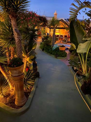 Lodge Casa Verde Cassita House 4