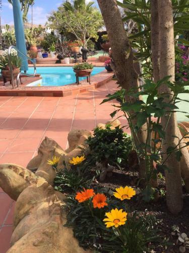 Lodge Casa Verde Cassita House 4