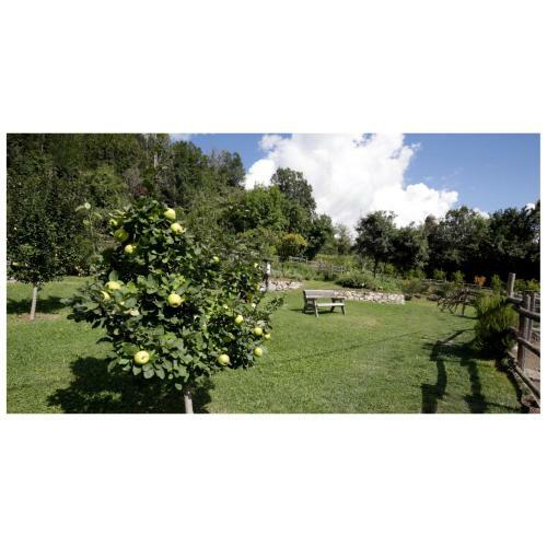 Agroturismo Montagna Verde