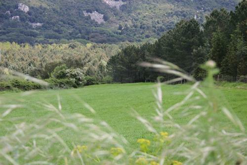 Bed & Breakfast Conca Marina