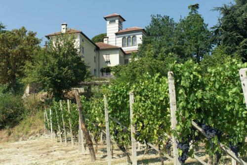 Agroturismo Castello Di Grillano Guest House