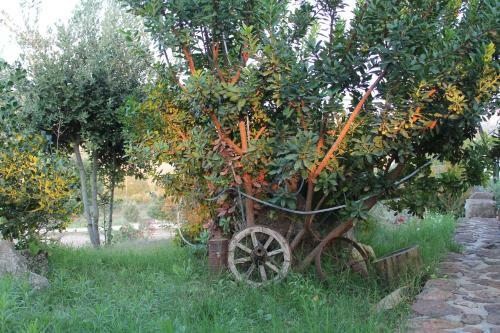 Agroturismo Agriturismo Su Recreu