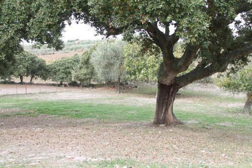 Agroturismo Agriturismo Su Recreu