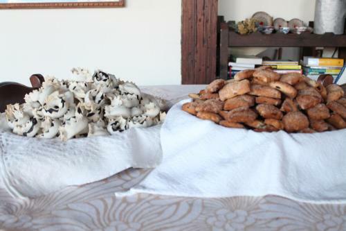 Agroturismo Agriturismo Su Recreu