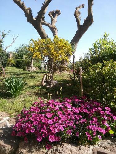 Agroturismo Agriturismo Su Recreu