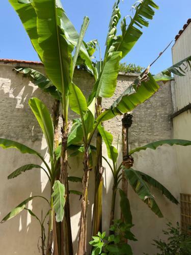 Apartamento L'escale