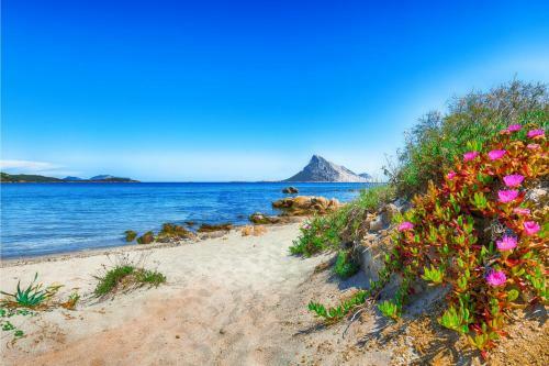 Apartamento Il Vecchio Faro A39 600mt From The Beach