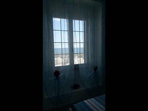 Coral Blue Three-room Apartment