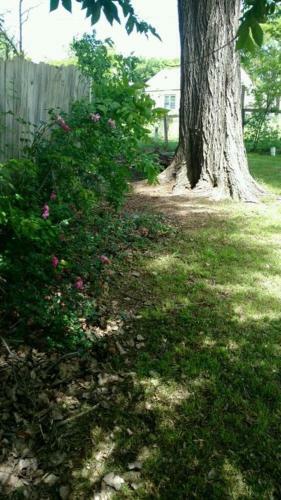 4 Bed Cowboy Home1 Mi Fort Sill- Weekly Rates!