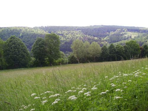 Apartamento Ferienwohnung Hermann