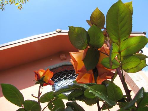B&B Ai Glicini