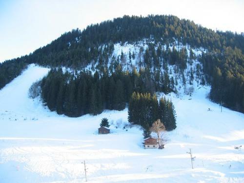 Apartamento Studio Le Biot, 1 Pi�ce, 4 Personnes - Fr-1-573-95