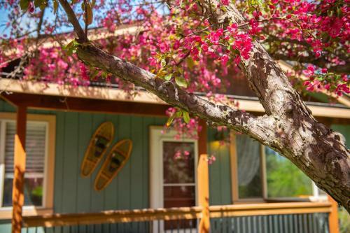 Bekind Cottage