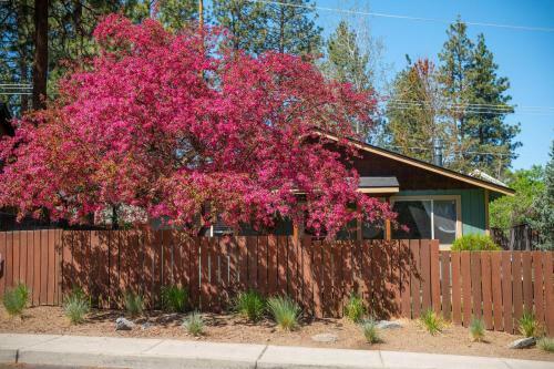 Bekind Cottage