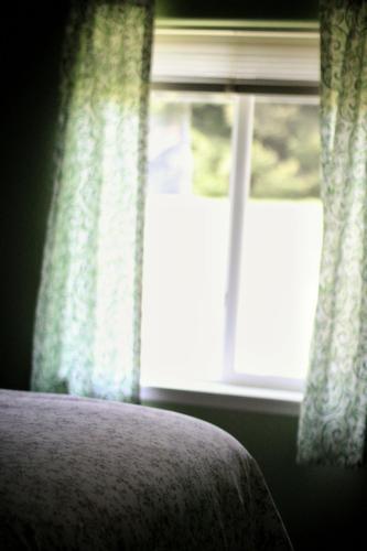 Fernwood Sanctuary: Relax W/ Weed, Wine, & Nature.