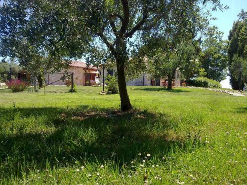 Casale Dinelli