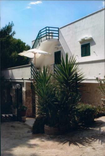 Apartamento Le Macchie Di Nonno Emilio