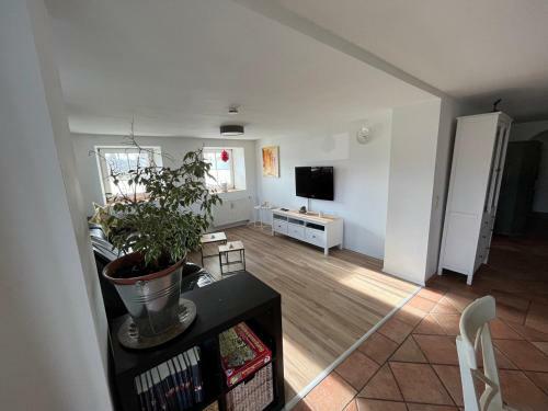 Apartamento Familiensuite Mit Garten Und Poolnutzung