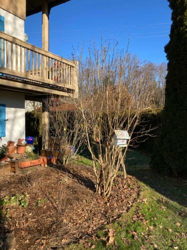 Apartamento Familiensuite Mit Garten Und Poolnutzung