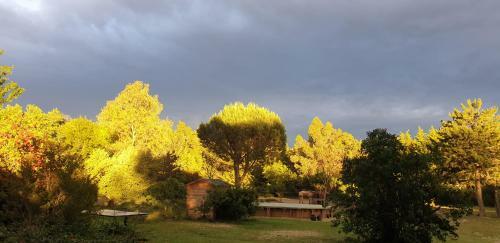 Roulotte En Bois Sud France