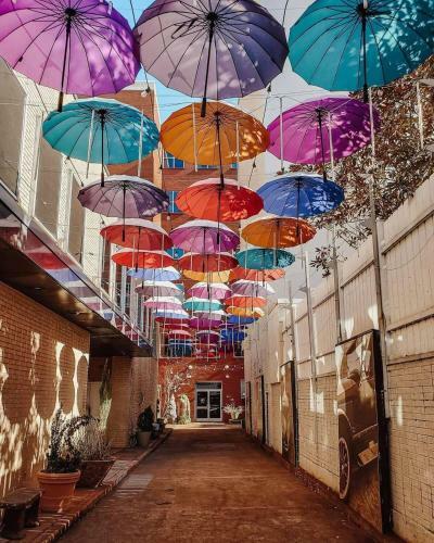 Relaxation In The Heart Of Chattanooga