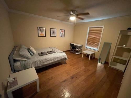 South Austin Oasis Dogs And Long Term Stays Welcome