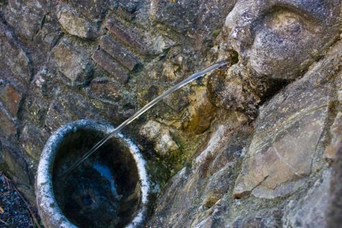 Agroturismo Fattoria Di Camporomano