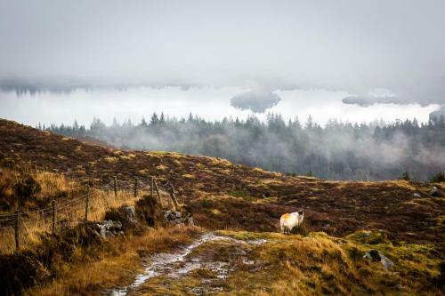 Donegal Estuary Holiday Homes