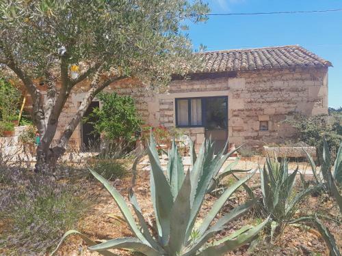 Hostal Le Mas Neuf 30129 Manduel