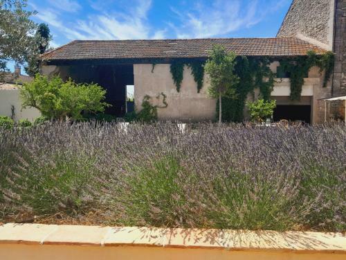 Hostal Le Mas Neuf 30129 Manduel