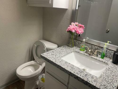Apartamento Peaceful Place At Galleria Uptown