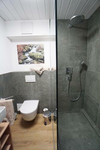 Apartamento H�llkopf - Stubenhof, Black Forest
