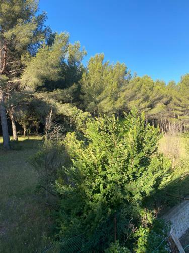 Apartamento La Cigales