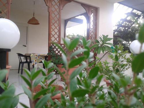 Apartamento Granelli Di Sabbia Village