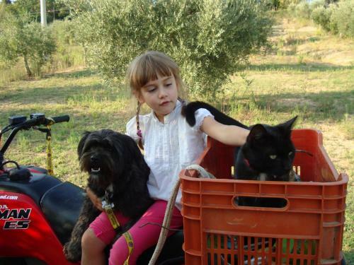 Domus Petrae Bed & Breakfast