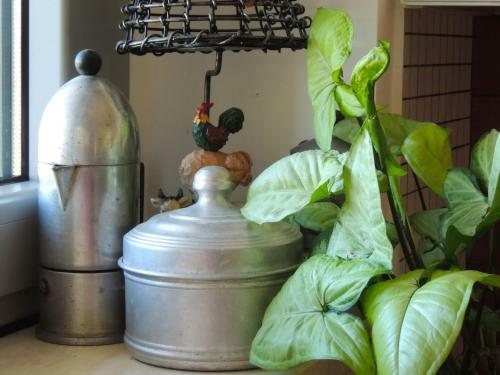 Domus Petrae Bed & Breakfast