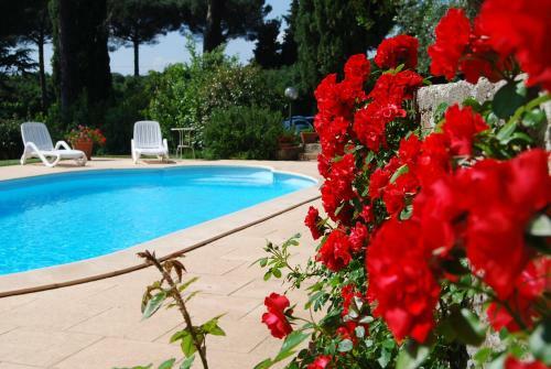 Agroturismo Alloggi Turistici Ai Due Cedri