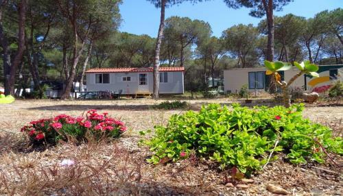 Villaggio Camping Nurral