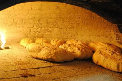 Bed & Breakfast La Vecchia Quercia
