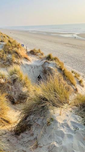 Apartamento Appartement � Quelques Pas de La Plage Avec Jardin