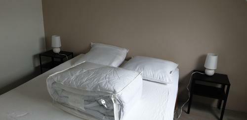 Maison 4 Chambres Mesquer