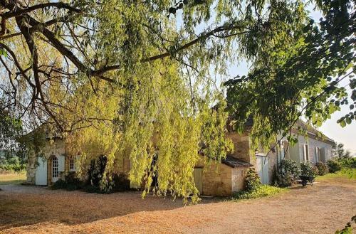 Hostal Clair De Vigne