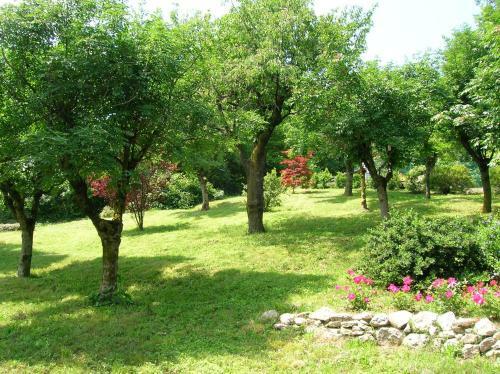 B&B Il Suono Del Bosco