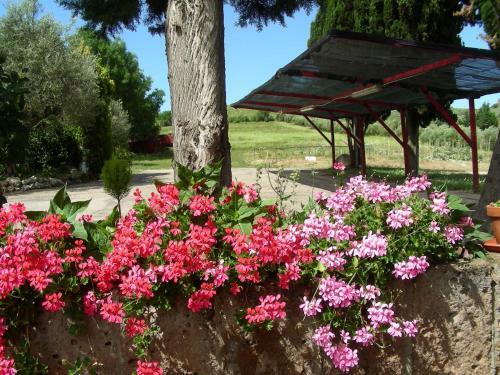 Agroturismo Pier Delle Vigne B&B