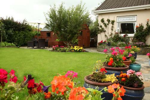Brooklodge Bed And Breakfast