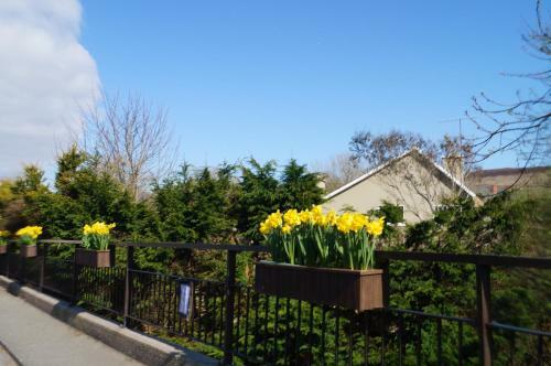 Bed & Breakfast Ardrinane House