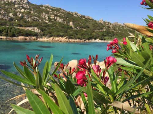 Hotel Cala Lunga