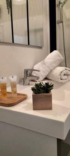 Apartamento Nancy Gare 1 Min � Pied Avec Parking