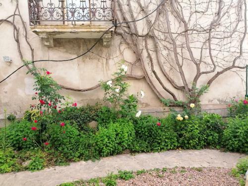 Apartamento Studio Avec Terrasse Amenagee Et Wifi A Neris Les Bains