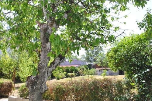Maison 6 Personnes - Grand Jardin Arbor�